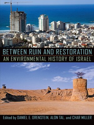 cover image of Between Ruin and Restoration